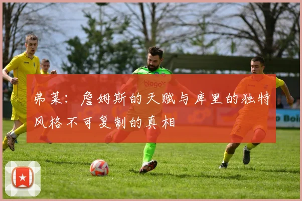 弗莱：詹姆斯的天赋与库里的独特风格不可复制的真相