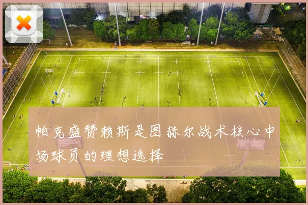 帕克盛赞赖斯是图赫尔战术核心中场球员的理想选择